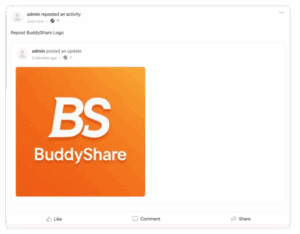 BuddyBoss Activity Repost